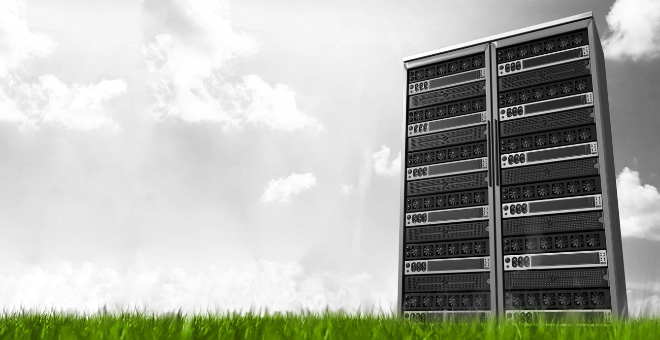 server in a grass field